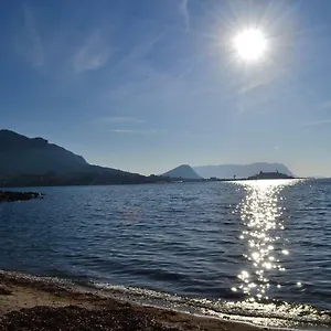 Cormorani , Golfo Aranci Italia
